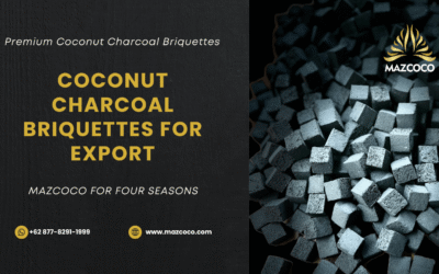 Coconut Charcoal Briquettes for Export