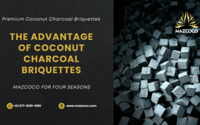 Tips for Choosing High-Quality Coconut Charcoal Briquettes